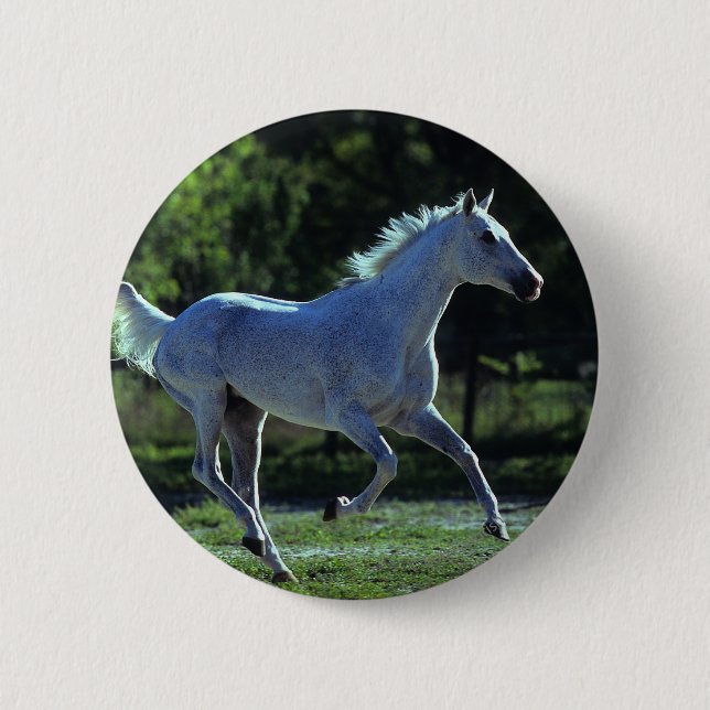 Thoroughbred Stallion Running Pinback Button (Front)