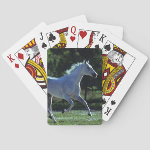 Thoroughbred Stallion Running Poker Cards