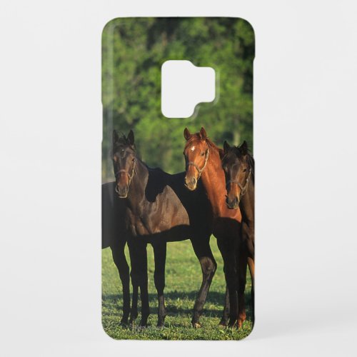 Thoroughbred Yearlings Case_Mate Samsung Galaxy S9 Case