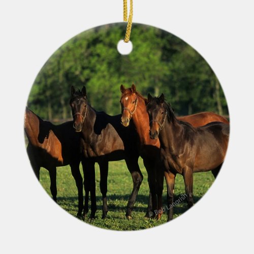Thoroughbred Yearlings Ceramic Ornament