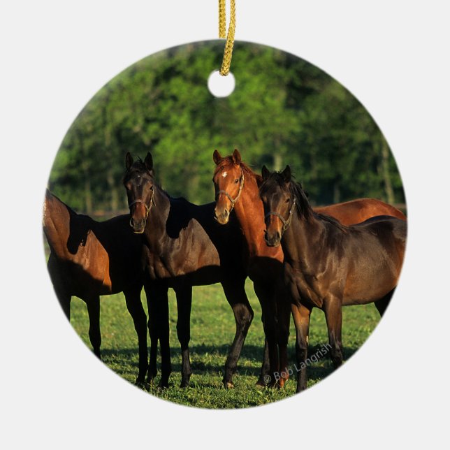 Thoroughbred Yearlings Ceramic Ornament (Front)