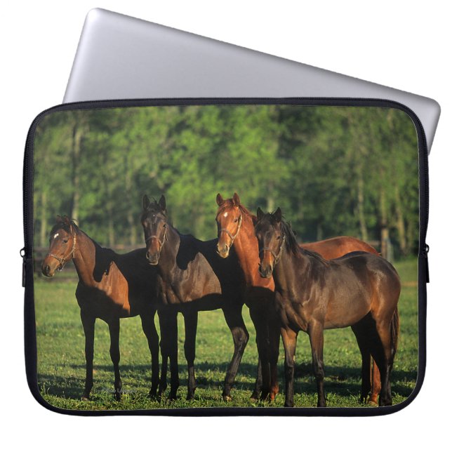 Thoroughbred Yearlings Laptop Sleeve (Front)