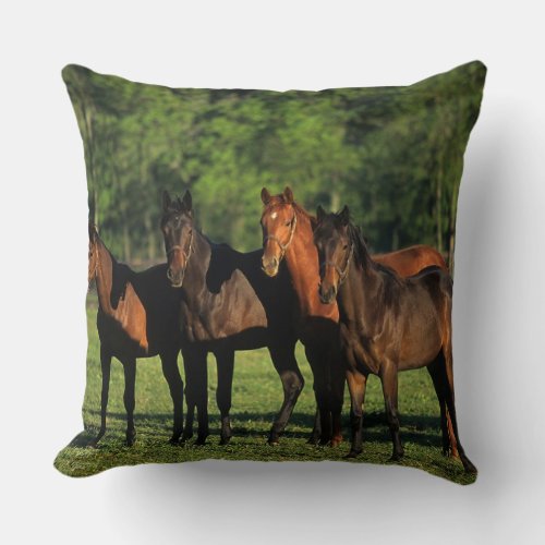 Thoroughbred Yearlings Throw Pillow