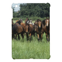 Thoroughbred Youngsters iPad Mini Case