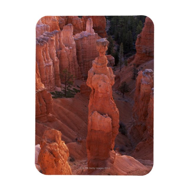 Thor's Hammer hoodoo on Navajo Trail Magnet (Vertical)