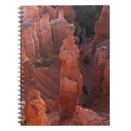 Thors Hammer hoodoo on Navajo Trail Notebook