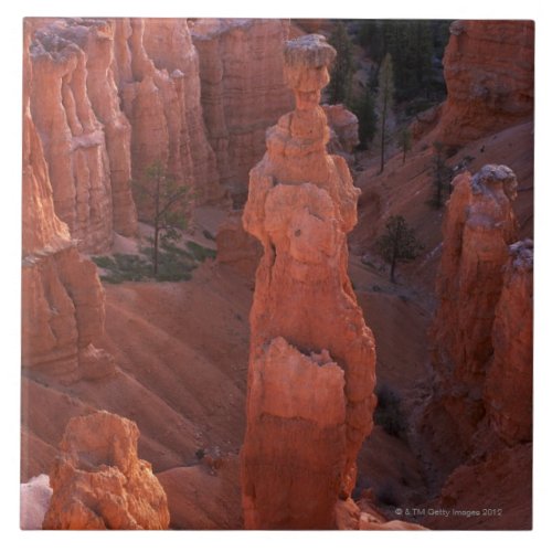 Thors Hammer hoodoo on Navajo Trail Tile