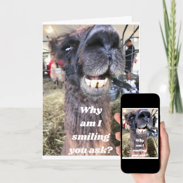 THOSE ARE SOME TEETH!! HAPPY BIRTHDAY CARD | Zazzle