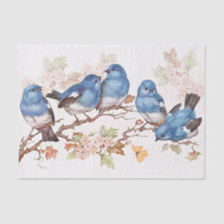 Those baby blues tissue paper