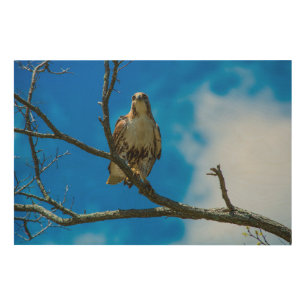 THOSE EYES 36"x 24" Wood Wall Art