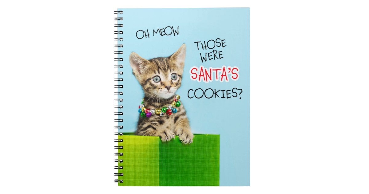 Cat Kitten Rainbow Personalized Notebook Sketchbook Custom
