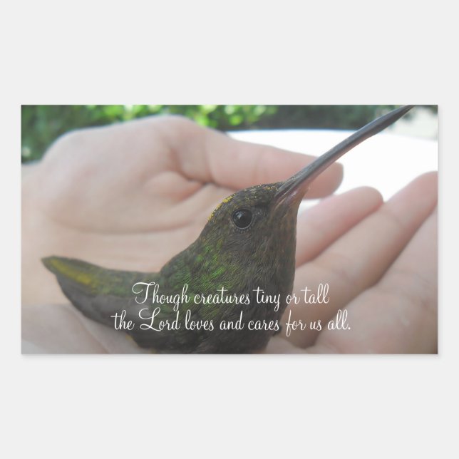Though Creatures Hummingbird Rectangular Sticker (Front)