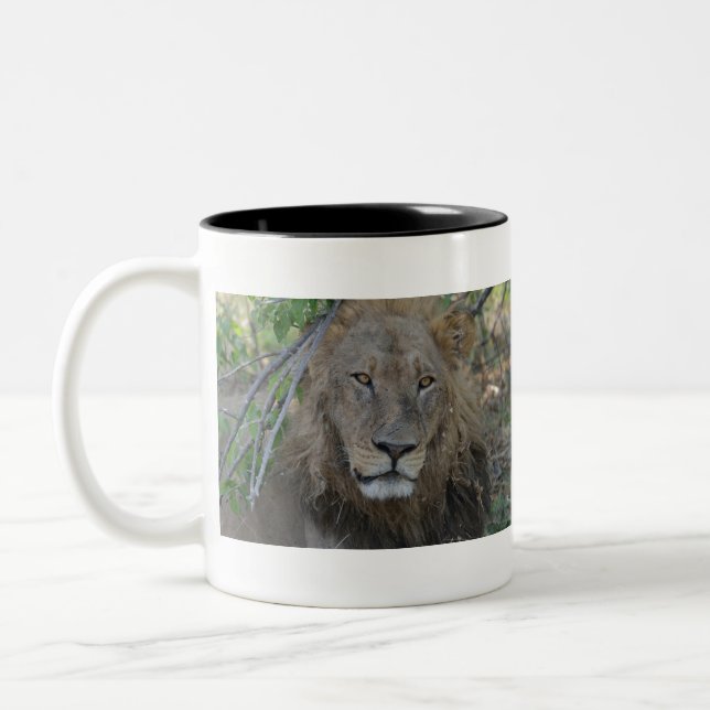 Thoughful Old Lion, Botswana .JPG Two-Tone Coffee Mug (Left)