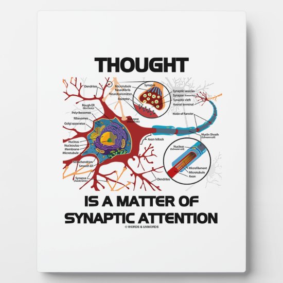Thought Is A Matter Of Synaptic Attention (Neuron) Plaque