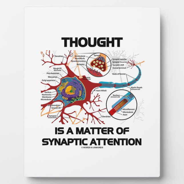Thought Is A Matter Of Synaptic Attention (Neuron) Plaque (Front)