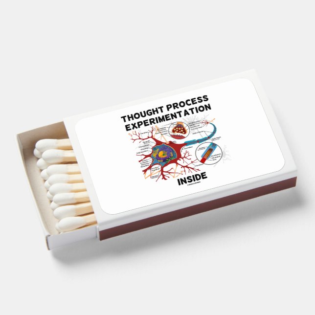 Thought Process Experimentation Inside Neuron Matchboxes (Front Open)