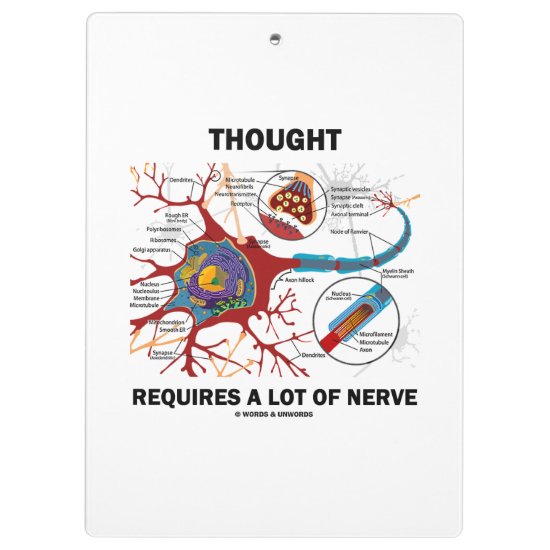 Thought Requires A Lot Of Nerve Neuron Synapse Clipboard