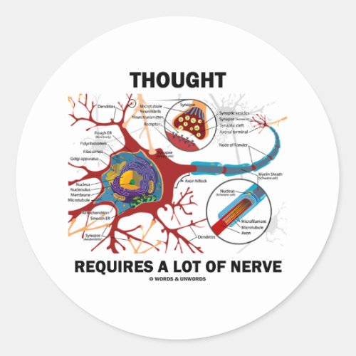 Thought Requires A Lot Of Nerve Synapse Classic Round Sticker