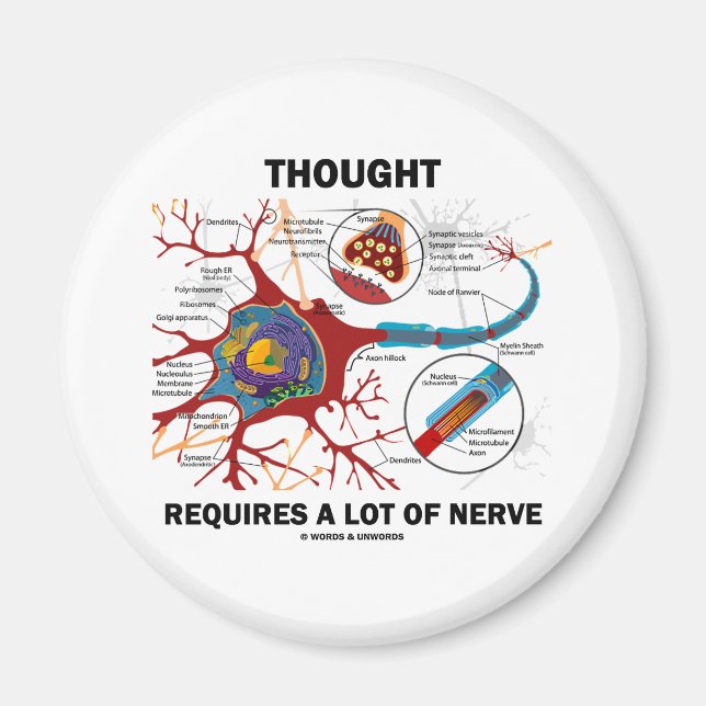 Thought Requires A Lot Of Nerve (Synapse) Magnet (Front)