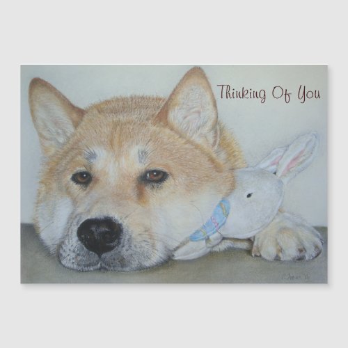 thoughtful beautiful akita dog thinking of you
