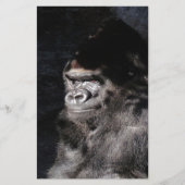 Thoughtful Gorilla (Front)