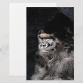 Thoughtful  Gorilla (Front/Back)