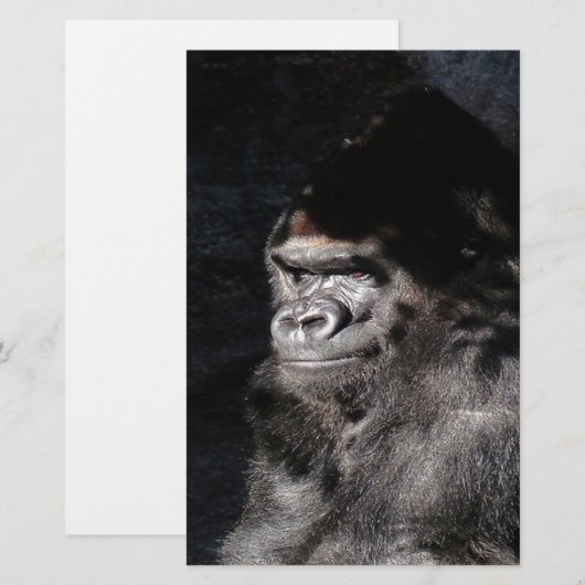 Thoughtful Gorilla (Front/Back)