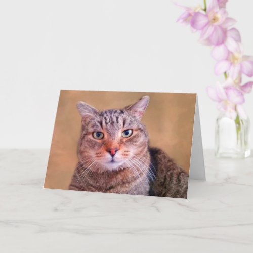 Thoughtful Kitty Get Well Card