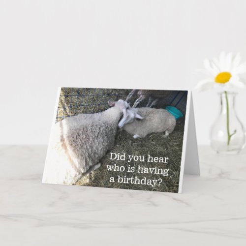 THOUGHTFUL SHEEP SAY HAPPY BIRTHDAY CARD