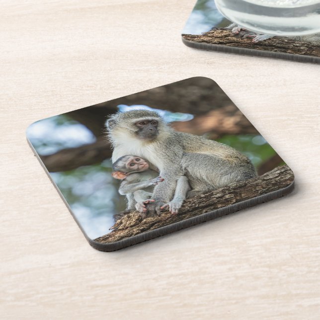 Thoughtful Vervet Monkey – Nature Inspired Beverage Coaster (Left Side)