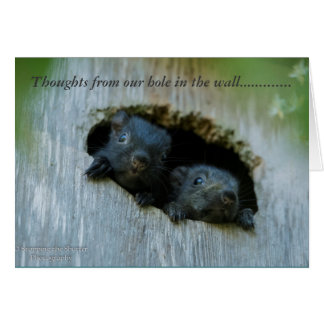 Thoughts from our Hole in the Wall...... Cards
