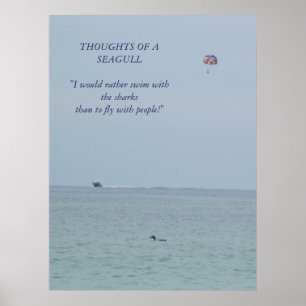 Thoughts of a Seagull 2 Poster