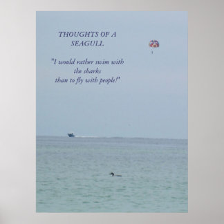 Thoughts of a Seagull 2 Poster