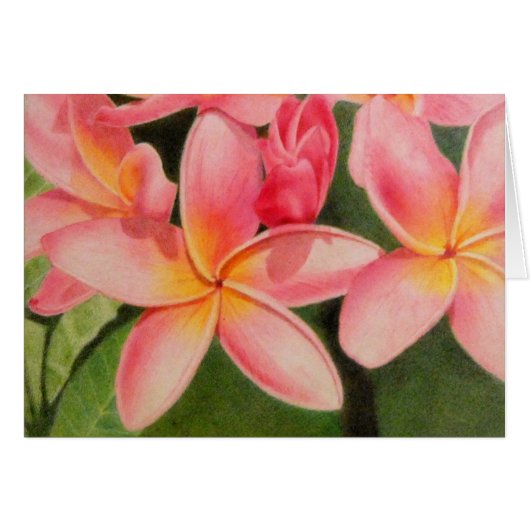 Thoughts of Plumeria (Front Horizontal)