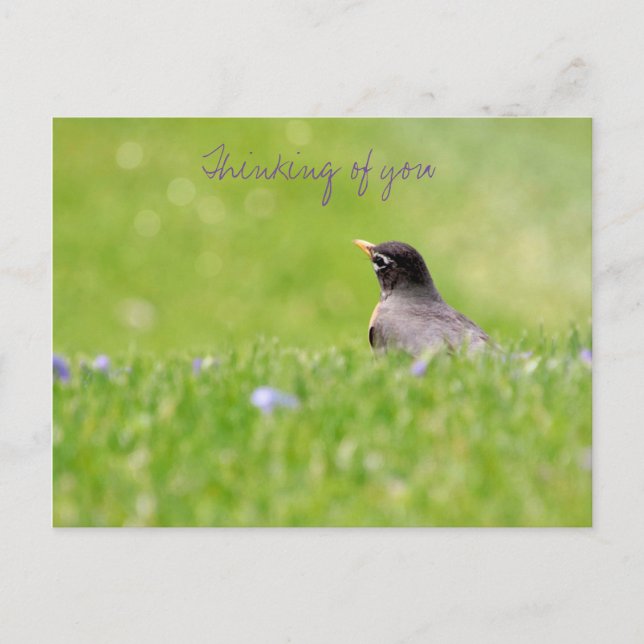 Thoughts of You Postcard  (Front)