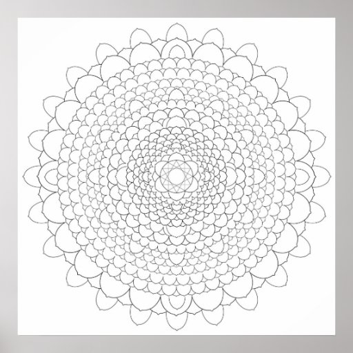 Thousand Petal Lotus Mandala Poster | Zazzle