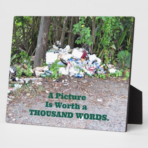 Thousand Word picture of the results of litter Plaque