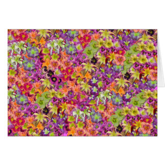 Thousands of Daylilies! Cards
