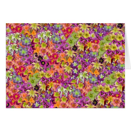 Thousands of Daylilies! Cards (Front Horizontal)