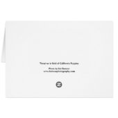 Thrasher in Field of Poppies (Back Horizontal)