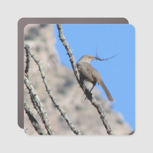 Thrasher with Nesting Material Car Magnet