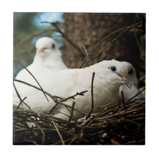 Thre in a  Tree Ceramic Photo Tile