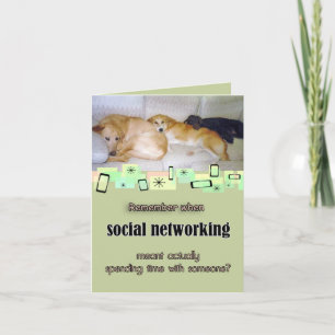 Three Adorable Dogs Birthday Greeting Card