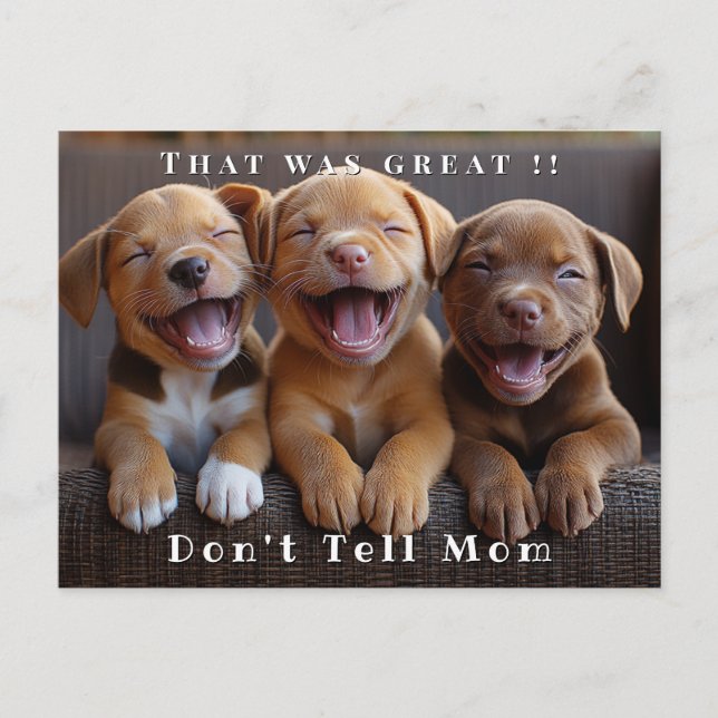Three Adorable Funny Laughing Puppies Postcard (Front)