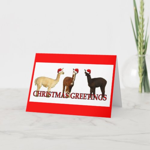 Three Alpaca Santas Holiday Card