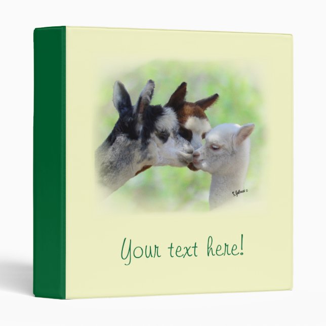 Three Alpacas Binder (Front/Spine)