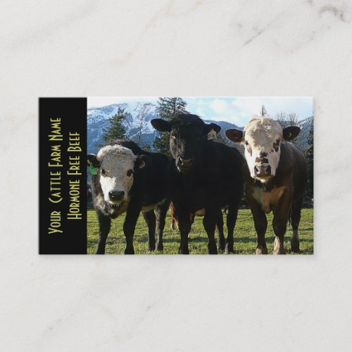 Three Amigos Beef Cattle Business Cards