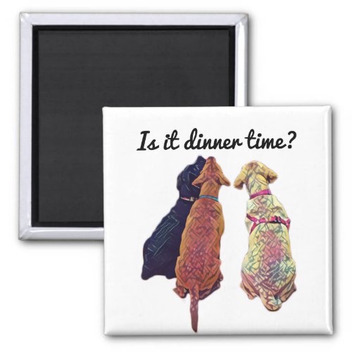 Three amigos I Magnetic Card Magnet