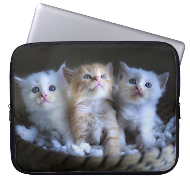 Three Amigos Laptop Sleeve (Front)