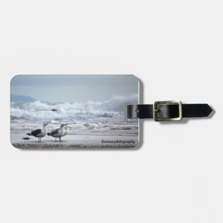 Three Amigos Luggage Tag